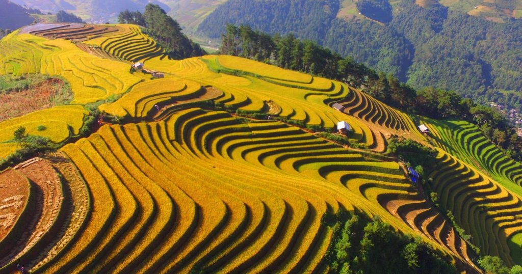 BEL AUTOMNE DORÉ SUR LES HAUTS PLATEAUX DU NORD-OUEST